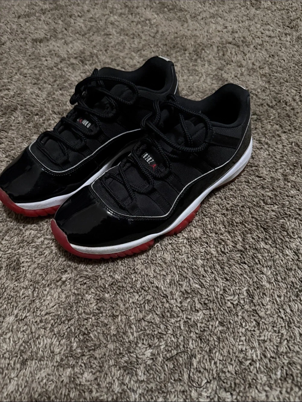 Jordan bred 11 lows